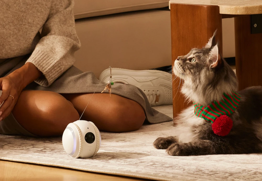 best pet surveillance camera