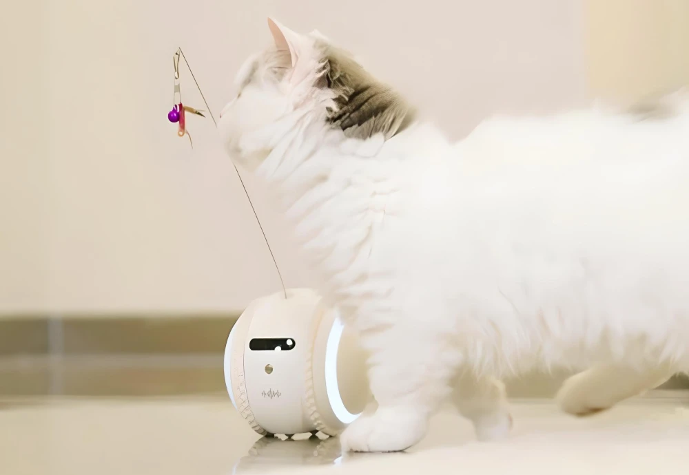 wireless home pet camera