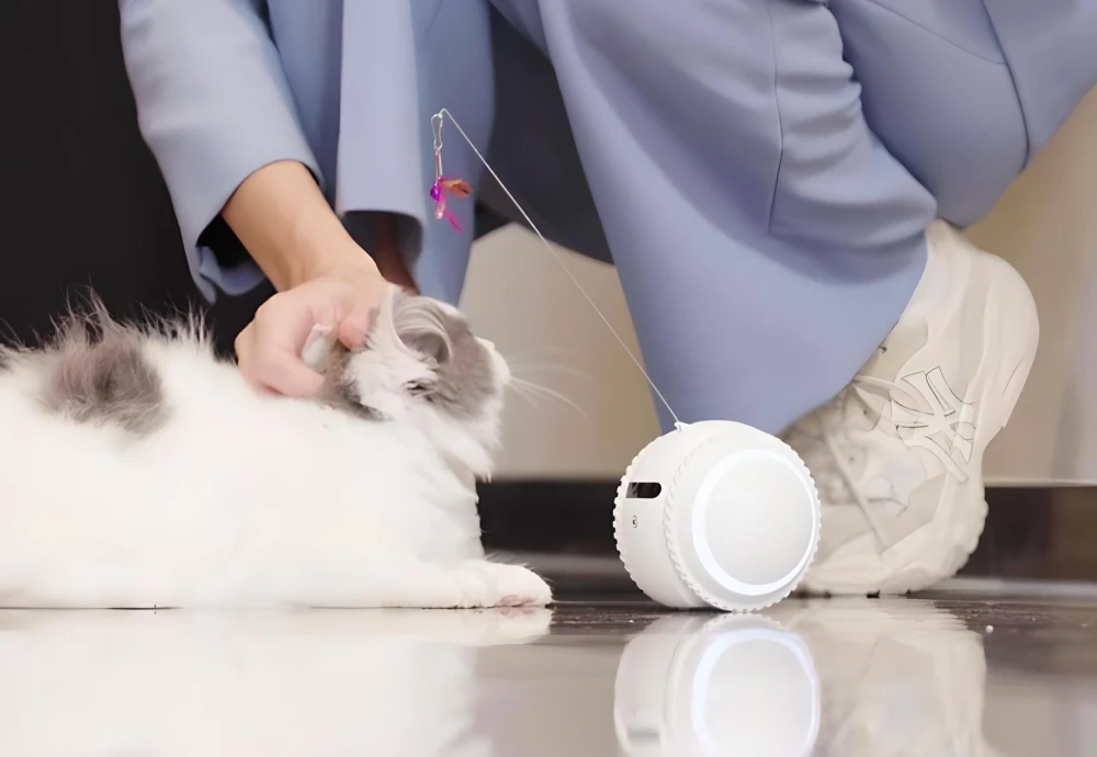 pet camera that moves