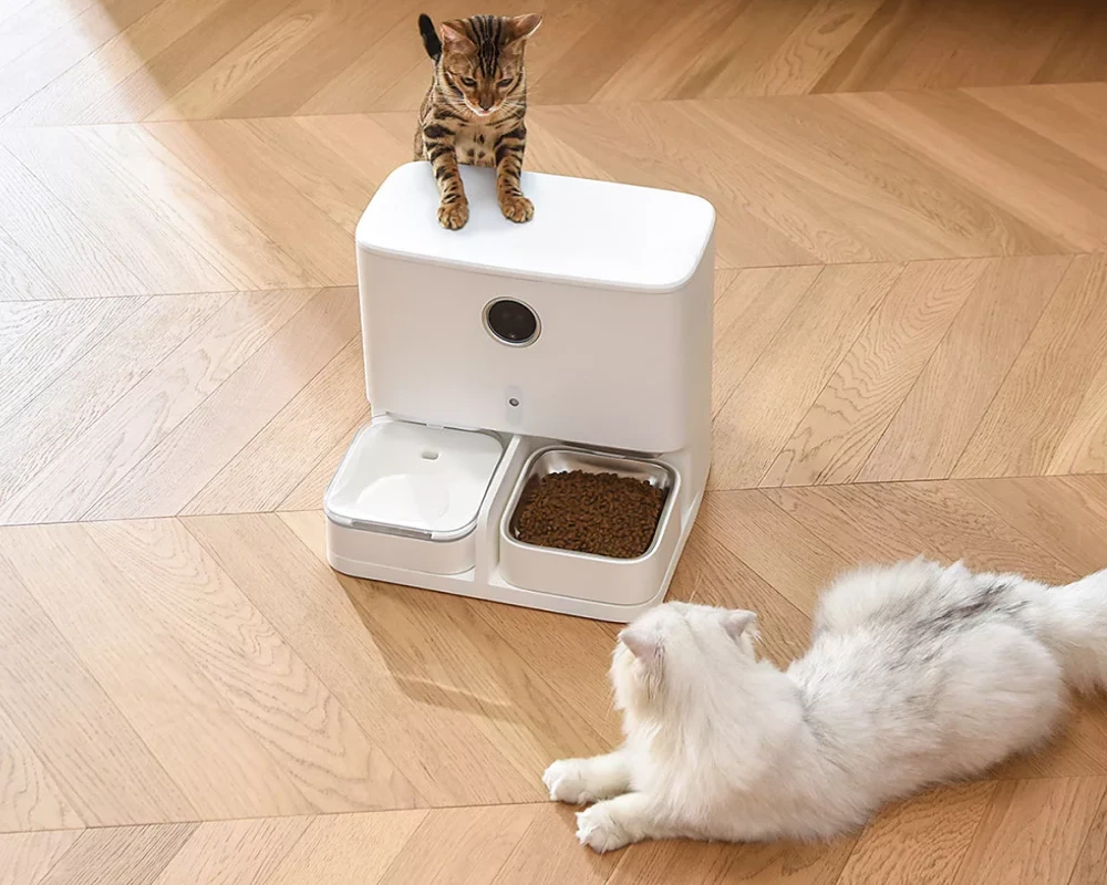 best automatic pet feeder with camera