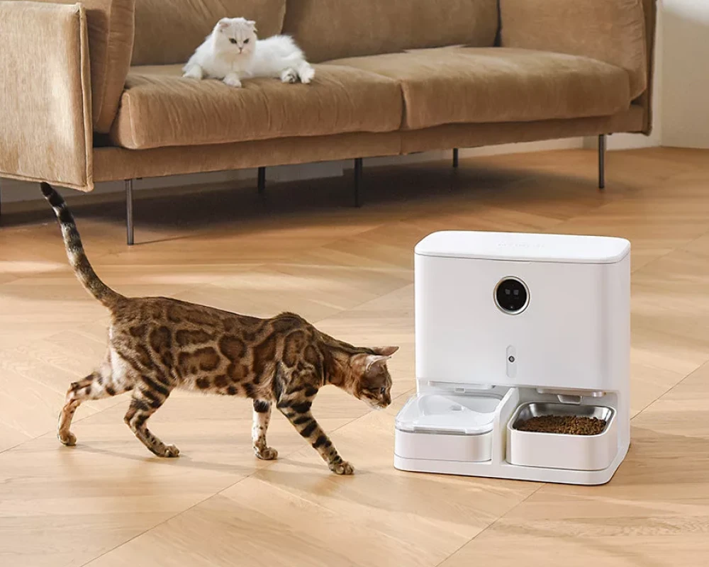 best automatic pet feeder