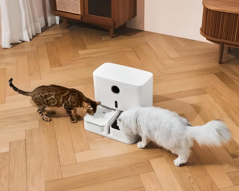 pet food and water dispenser